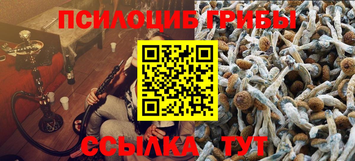 Псилоцибиновые грибы мицелий Нурлат